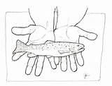 Rainbow Trout Drawing Sketch Coloring Page sketch template