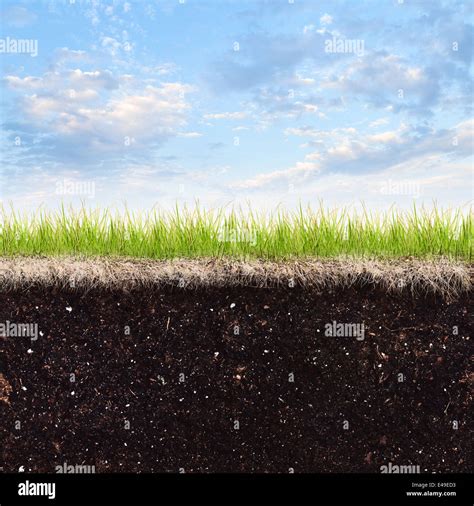 Soil, grass and sky background Stock Photo - Alamy