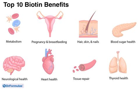 What is Biotin Good for? 10 Health Benefits of Biotin – DrFormulas