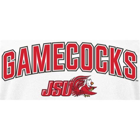 Jacksonville State Gamecocks Women's Proud Mascot Slim Fit Long Sleeve T-Shirt - White ...