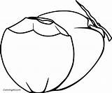 Coconut Coloring Pages 8 Free Printables  ColoringAll sketch template
