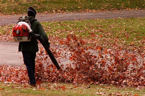 What's a good CFM for a leaf blower? A Guide - GFL Outdoors