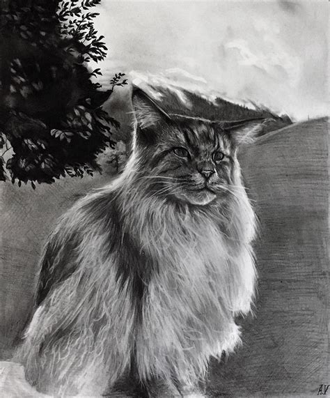 Charcoal Cat Portraits By Talented Artists - PaintYourLife