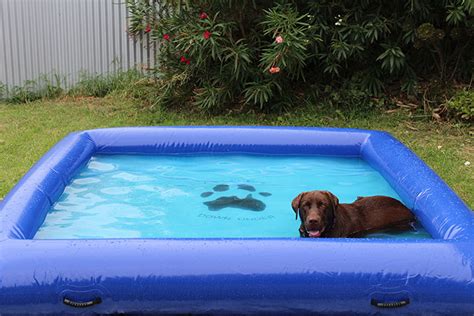 Extra Large Inflatable Dog Pool. Will Not Tear | eBay