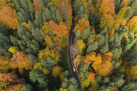 Discover the 12 Best Fall Scenic Drives in the United States