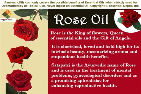 Rose oil in Ayurveda | Essential Oil