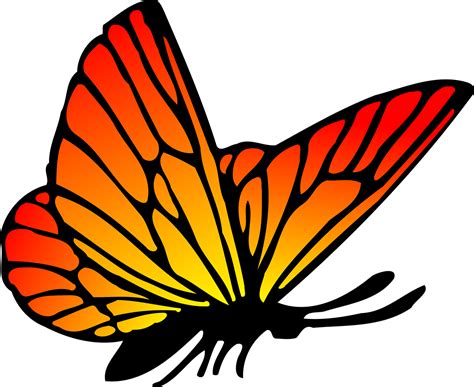 Clipart kupu kupu butterfly flying pictures on Cliparts Pub 2020! 🔝