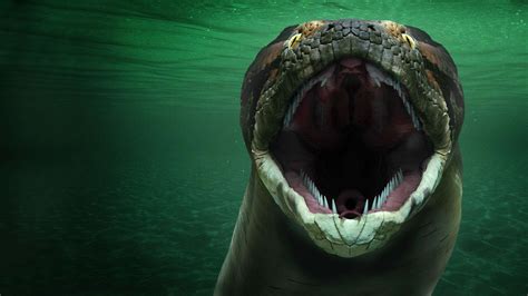 Titanoboa Wallpapers - Wallpaper Cave