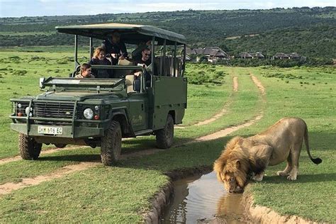 Safari de um dia na Reserva de Caça Privada Pumba 2022 - Eastern Cape