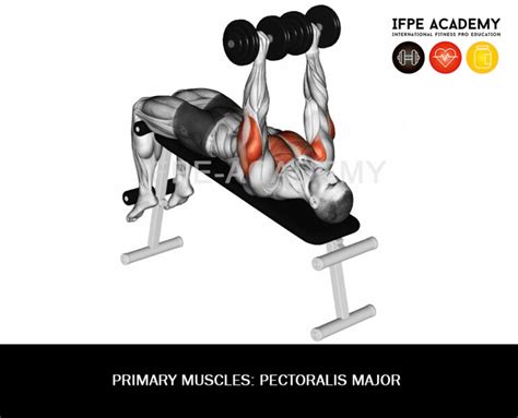 Dumbbell Bench Press - IFPE Academy