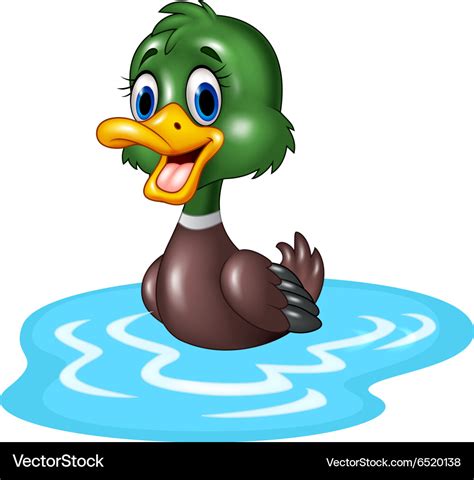 Cartoon duck floats on water Royalty Free Vector Image