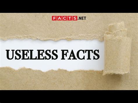 100 Useless Facts That Are Surprisingly True - Facts.net