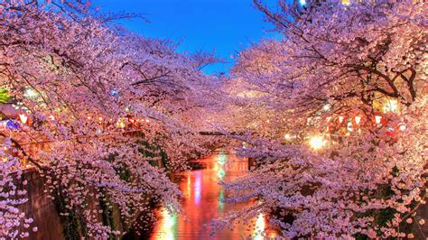 Japan Wallpaper 4k Wallpapersafari | Images and Photos finder