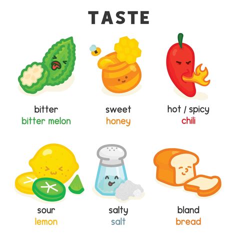 food and taste diagram chart in science subject kawaii doodle vector cartoon 10837725 Vector Art ...