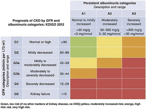 A renaissance in the treatment of diabetic kidney disease, hypertension ...