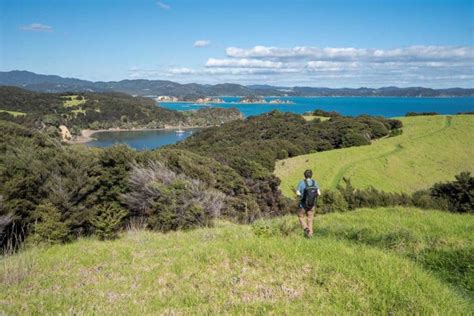 How to Visit Urupukapuka Island in Bay of Islands