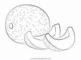 Melons Coloring Page  pages Melon Cantaloupe Drawing sketch template