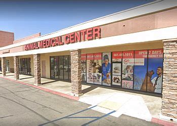 3 Best Veterinary Clinics in Palmdale, CA - Expert Recommendations