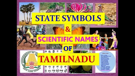 State Emblem and Symbols of Tamil Nadu