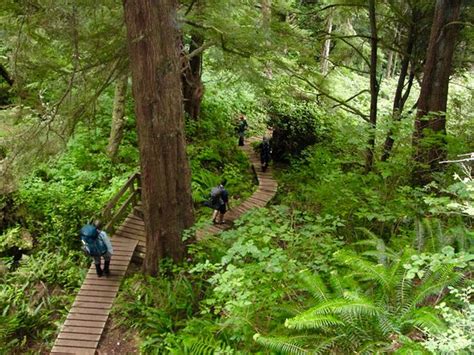 Things to do in North Vancouver, Canada: The Best Hiking & Camping Tours