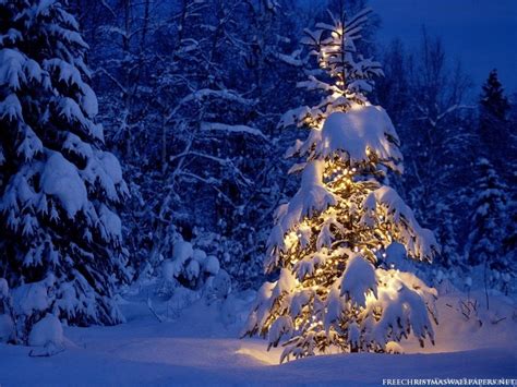 Snowy Christmas Desktop Wallpapers - 4k, HD Snowy Christmas Desktop ...