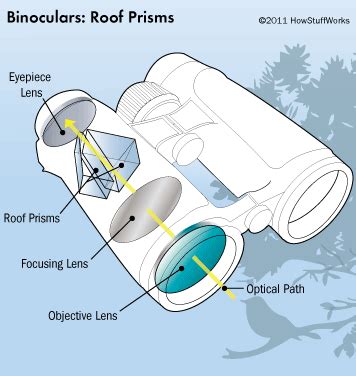 Roof Prism vs Porro Prism Binoculars? BK7 vs BAK4? [Glass 101]