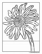 25 Free Sunflower Coloring Pages For Kids And Adults sketch template