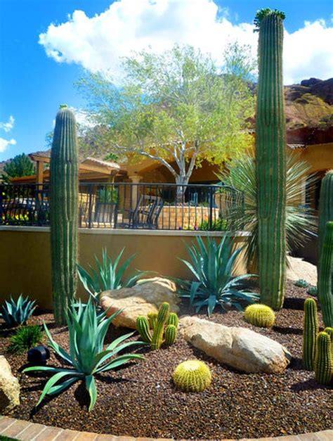 60 Stunning Desert Garden Landscaping Ideas for Home Yard | Desert ...