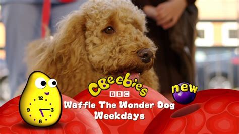 CBeebies | Waffle The Wonder Dog | New Episodes - YouTube