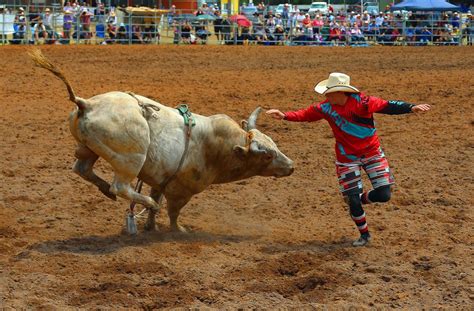 Dancing with the bull - Exibart Street