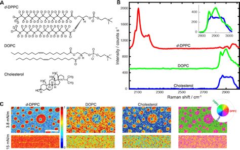 Single-shot chemical imaging of a ternary system. (A) Chemical ...