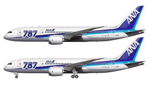 All Nippon Airways Boeing 787-8 Illustration – Norebbo