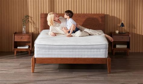 Ecosa Pure Mattress Review (in 2024)