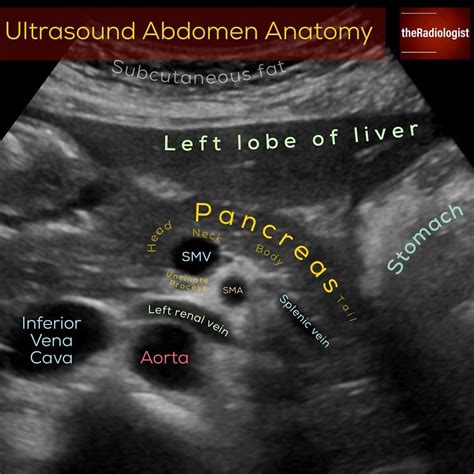 Read on to learn more about ultrasound!⁣ ⁣ ULTRASOUND ABDOMEN⁣ 👨🏽‍💻With ...