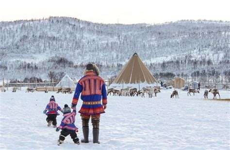 Sami Culture And Reindeer Tours In Tromsø, Norway | Best Arctic