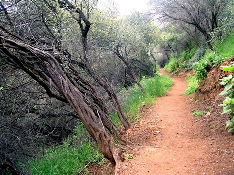 Temescal Canyon Loop Trail | Trail, Hikes in los angeles, Beautiful places to visit