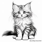 Coloring Kitten Pages Unleash Your Creativity And Bring Adorable  sketch template