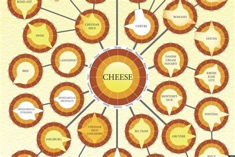 Cheese Flavors: Every Kind You Need To Know (INFOGRAPHIC) | HuffPost