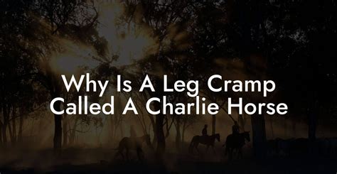 Why Is A Leg Cramp Called A Charlie Horse - How To Own a Horse