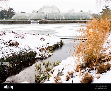 Kew gardens winter hi-res stock photography and images - Alamy