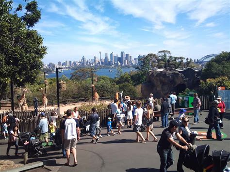 Guide To Visiting Taronga Zoo, Sydney - A World Class Zoo