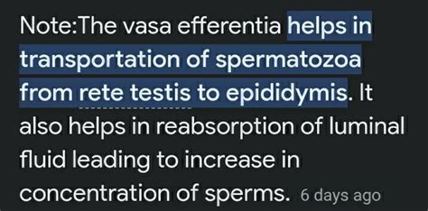 Vasa efferentia function - Brainly.in