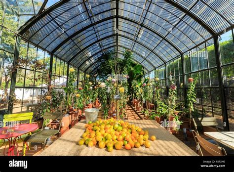 South Africa, Western Cape, Greenhouse of the Garden of Babylonstoren Estate, on the Wine Route ...