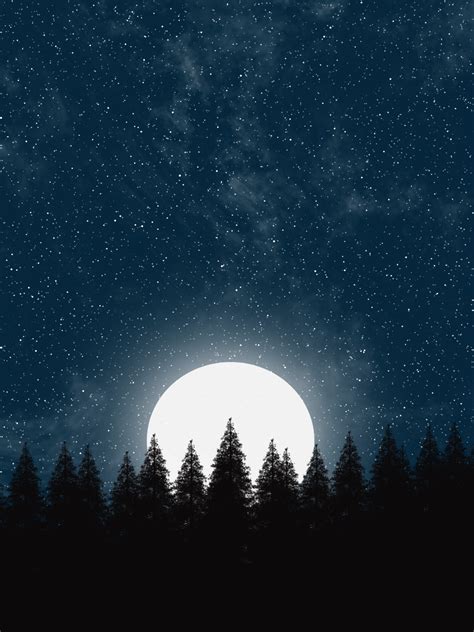 Moonlight Forest Wallpaper