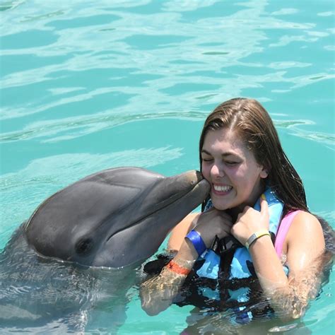 Dolphin Swim Adventure | Cancun Smart Pass