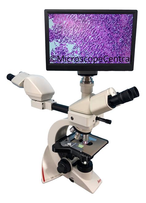 Leica DM1000 Dual Viewing | Digital Pathology Microscope | Microscope Central