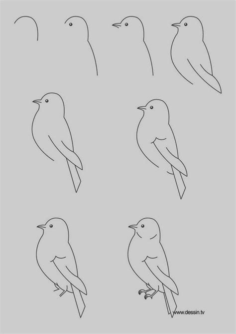 40 Easy Step By Step Art Drawings To Practice | Drawings, Art drawings ...