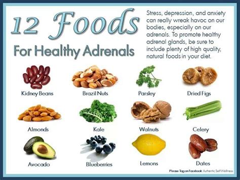 Adrenal Fatigue Diet, Adrenal Fatigue Treatment, Adrenal Health, Adrenal Glands, Adrenals ...