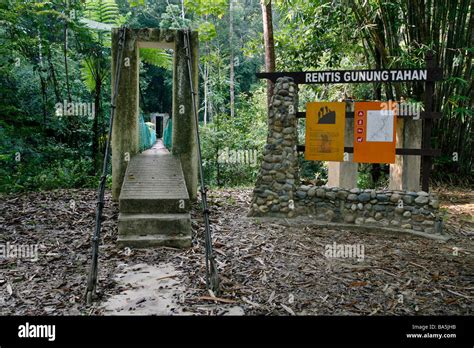 Gunung tahan taman negara hi-res stock photography and images - Alamy