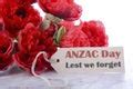 Freshly baked anzac cookies on tray - Free Stock Image